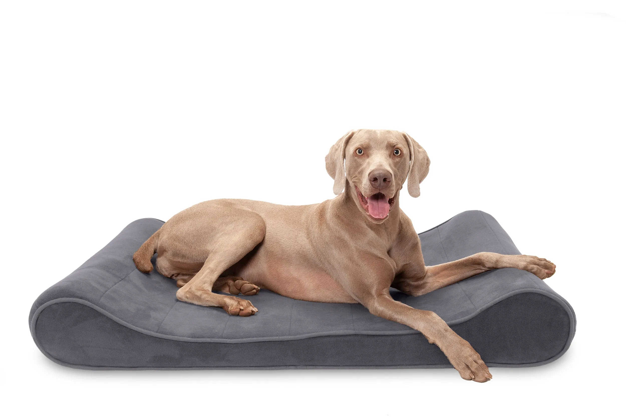 Luxe Lounger Contour Dog Bed - Microvelvet