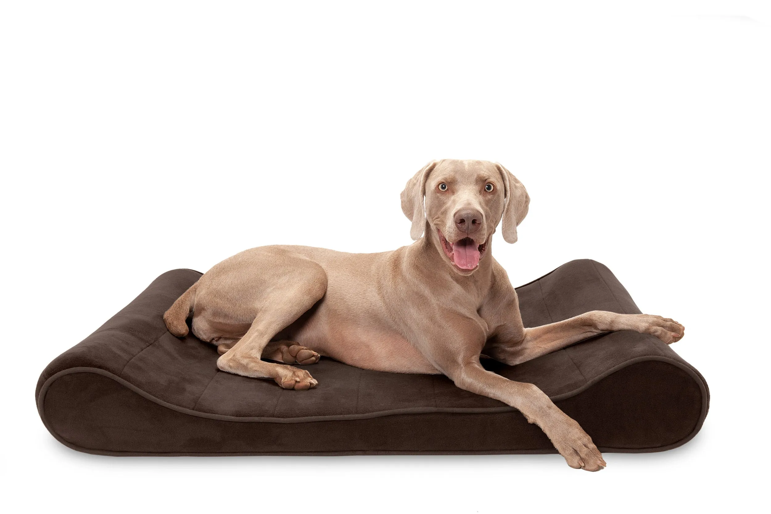 Luxe Lounger Contour Dog Bed - Microvelvet