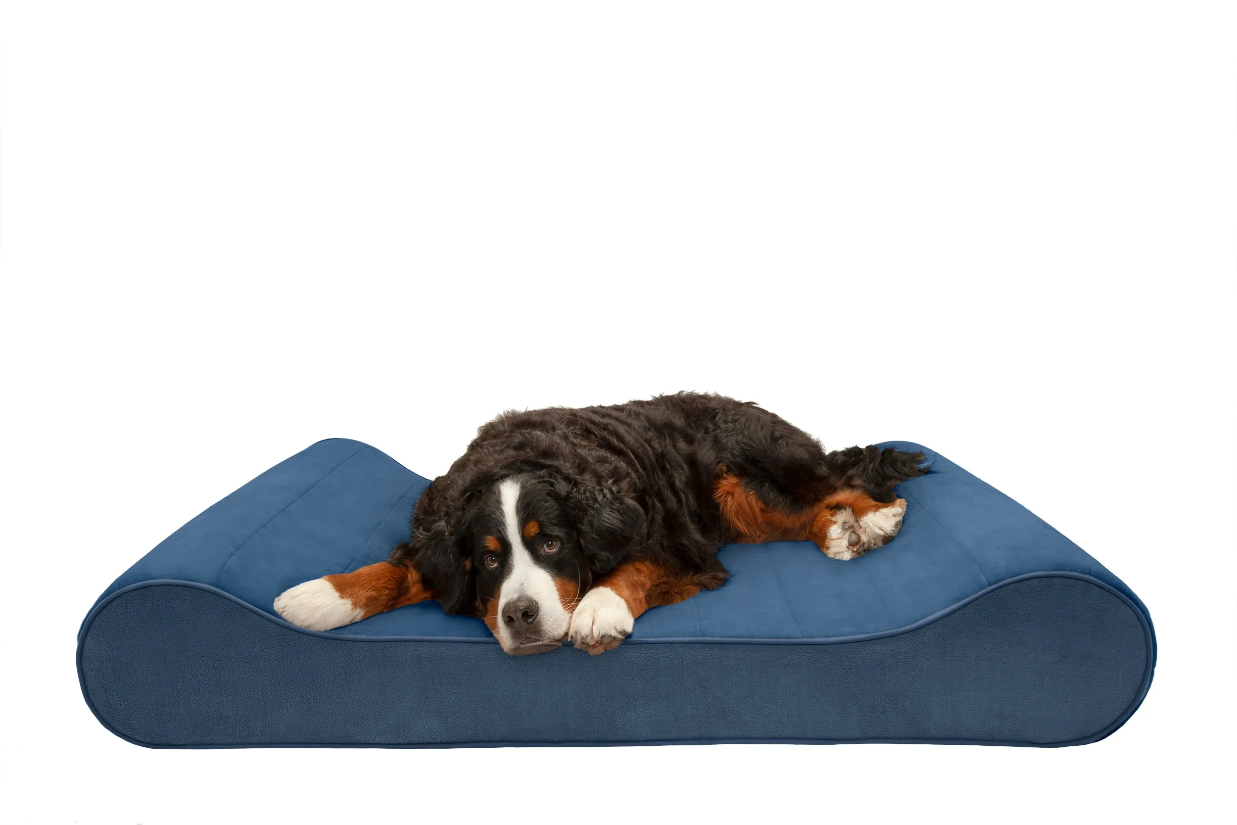 Luxe Lounger Contour Dog Bed - Microvelvet