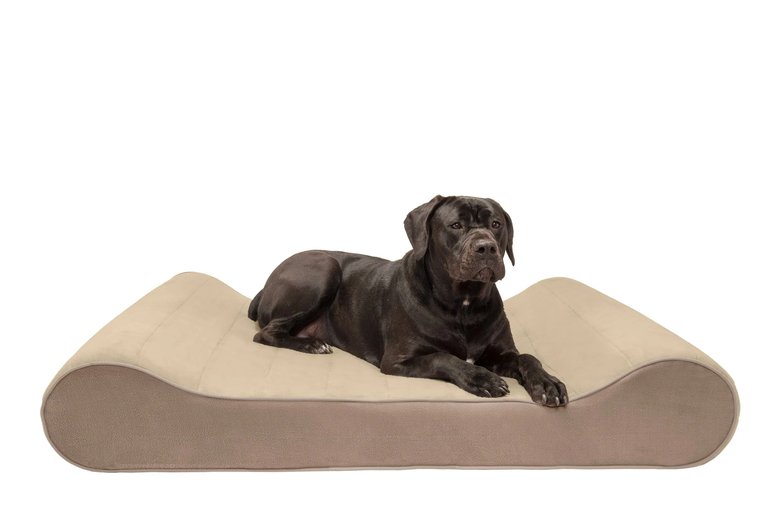 Luxe Lounger Contour Dog Bed - Microvelvet