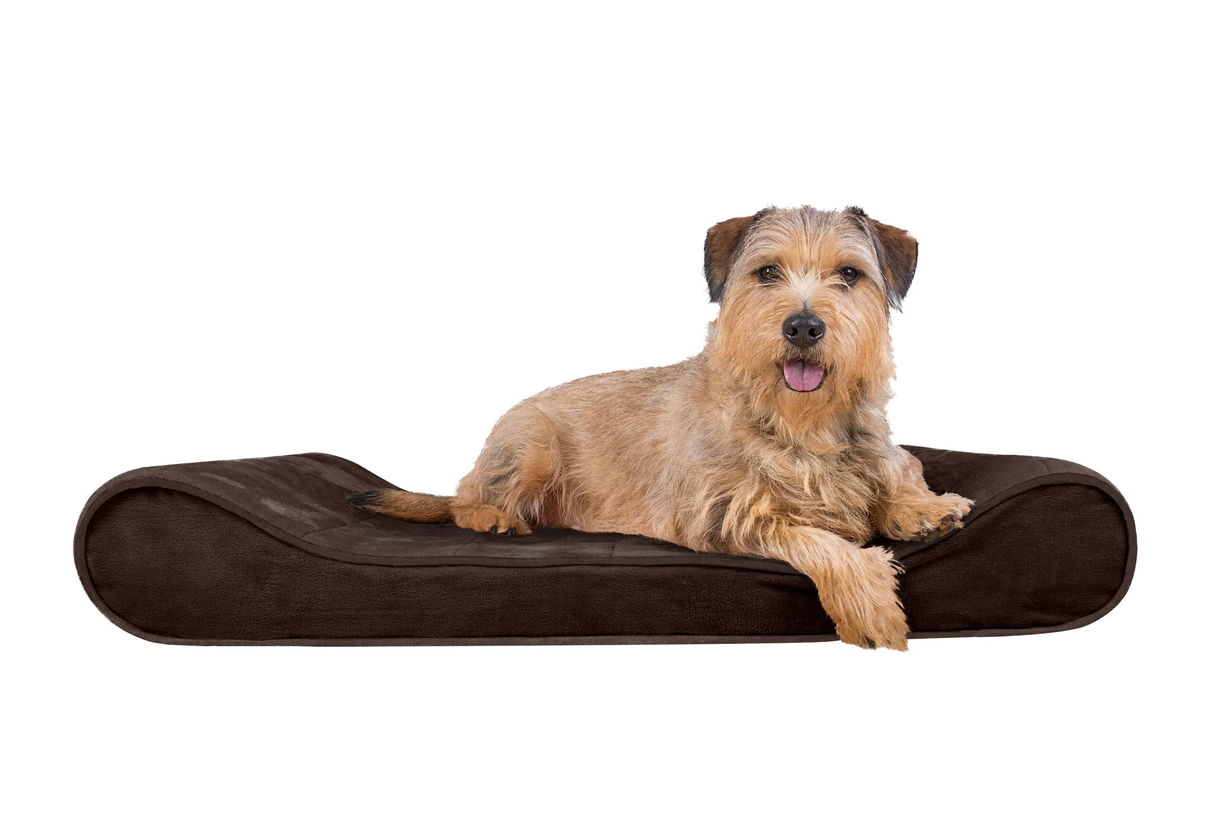 Luxe Lounger Contour Dog Bed - Microvelvet