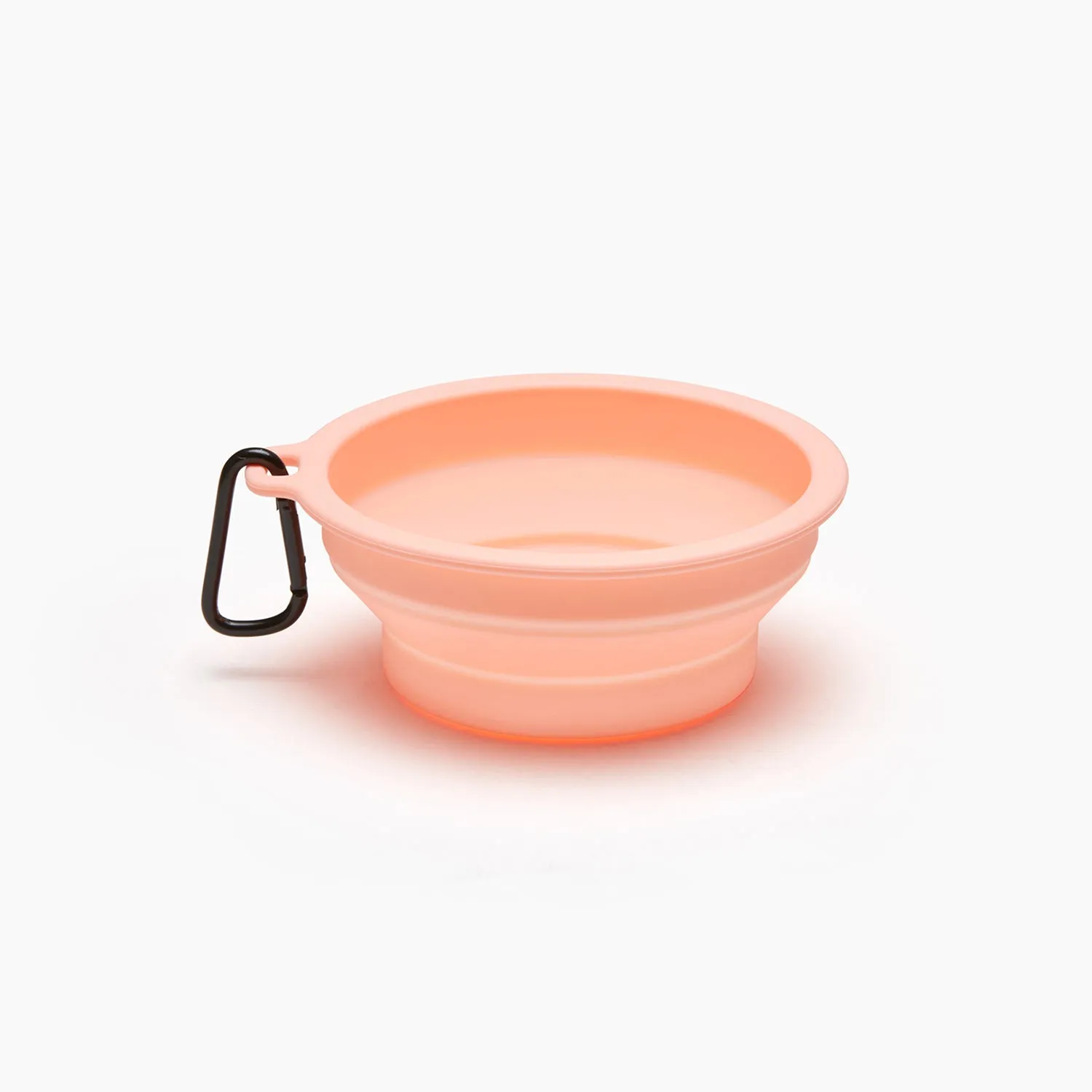 Macaron Collapsible Travel Pet Bowl