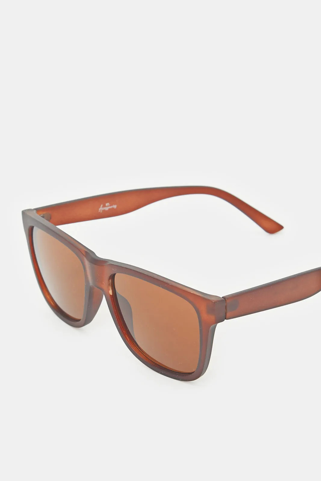 Men Brown Plain Wayfarer Sunglasses