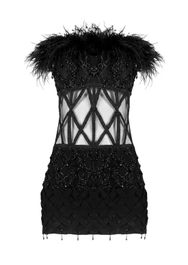 Mona Feathered Sheer Mini Dress