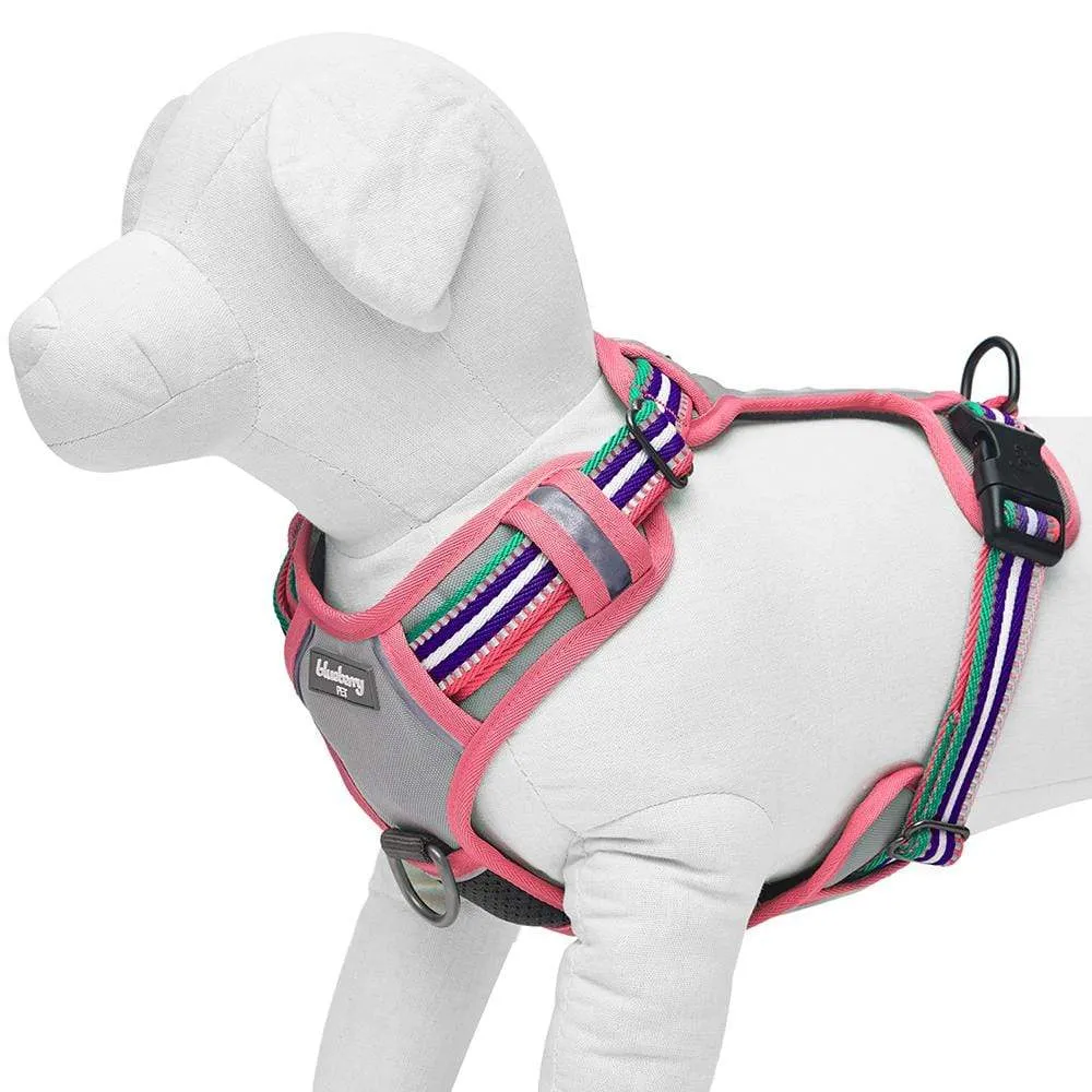 No Pull | 3M Reflective Dog Harness Vest with Handle in Multi-colored Stripes