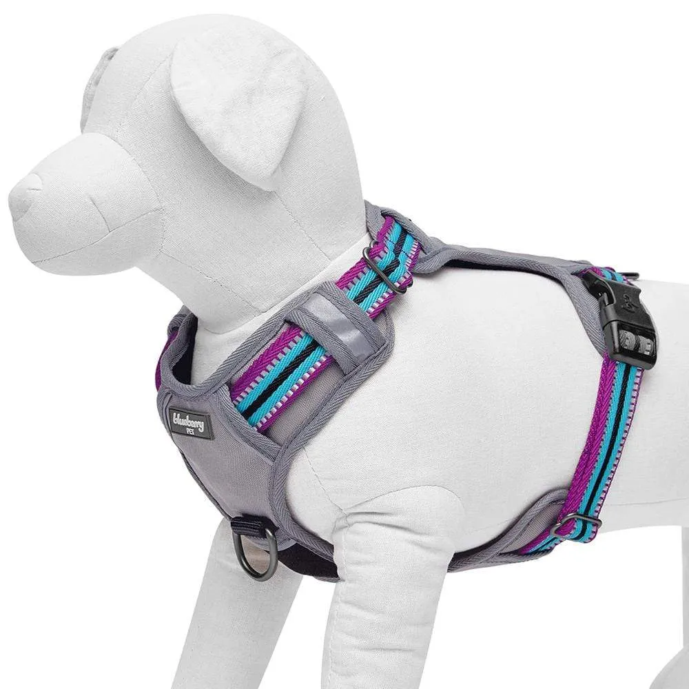 No Pull | 3M Reflective Dog Harness Vest with Handle in Multi-colored Stripes