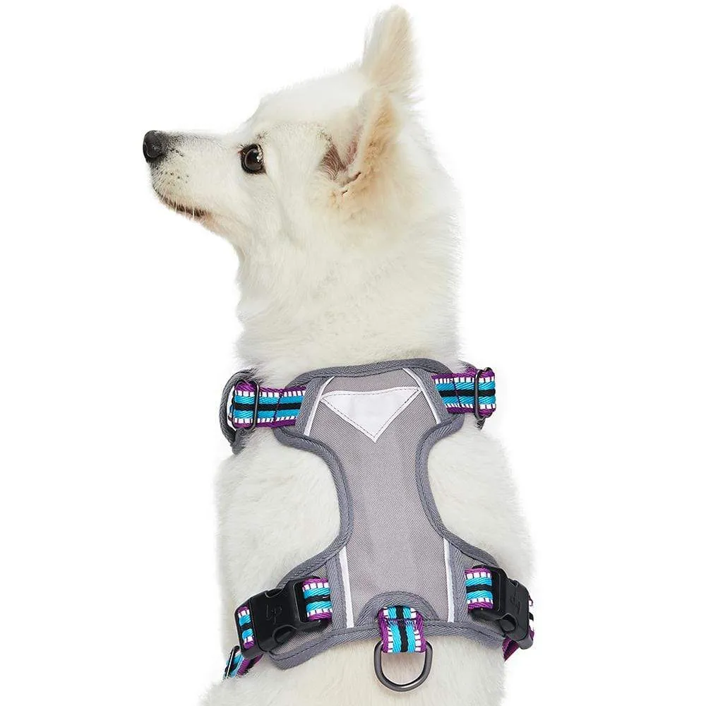 No Pull | 3M Reflective Dog Harness Vest with Handle in Multi-colored Stripes