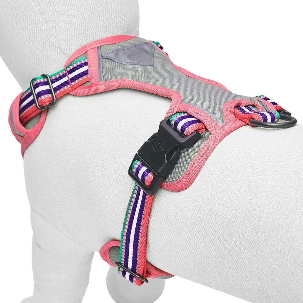 No Pull | 3M Reflective Dog Harness Vest with Handle in Multi-colored Stripes