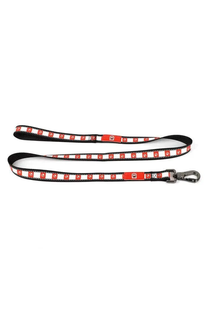 NRL Pet Lead Leash - St George Illawarra Dragons - 120CM - Lock Clip Durable