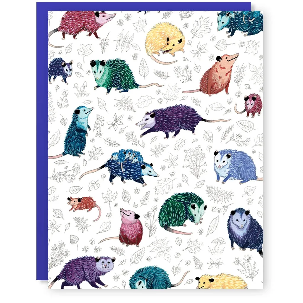 Opossum Passel Greeting Card