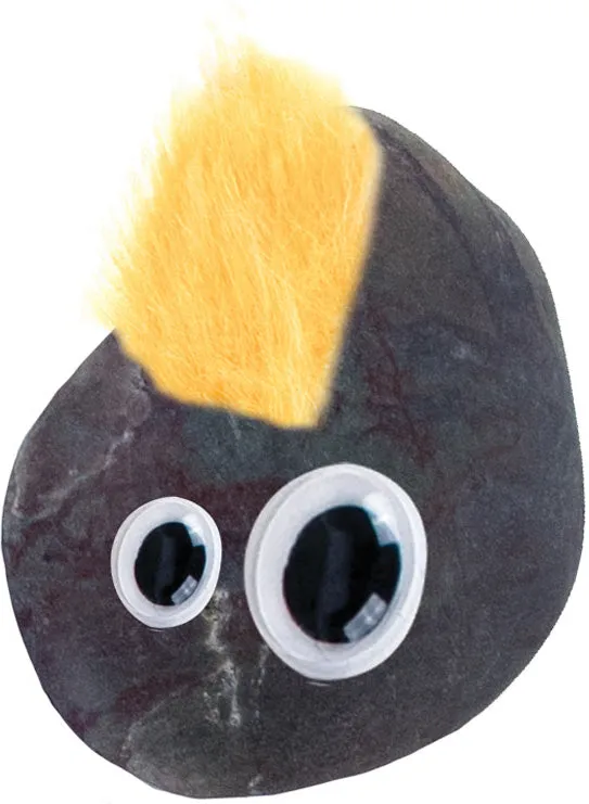 Original Classic Pet Rock