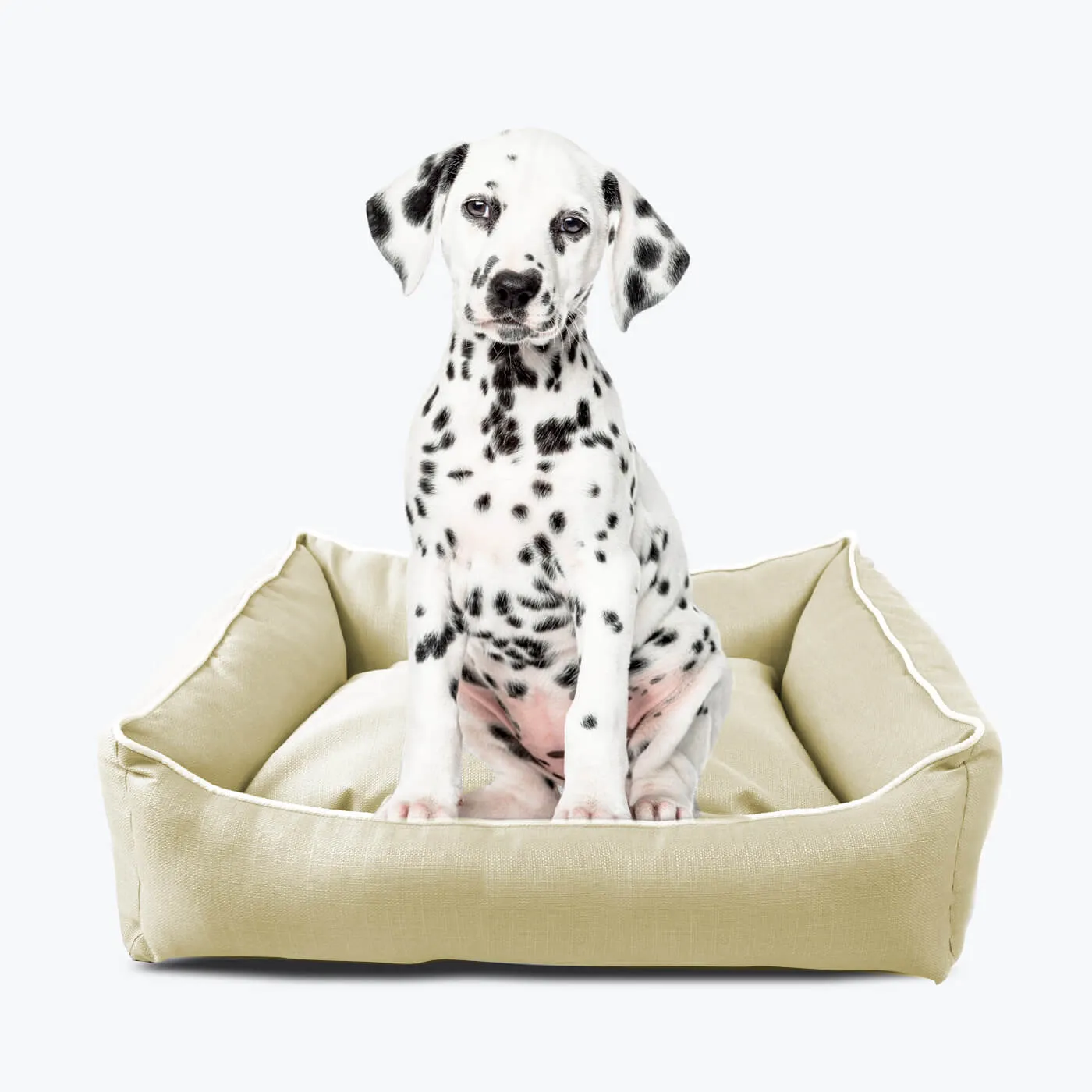 Orthopedic dog bed