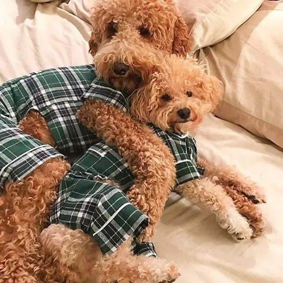 Pajamas - Green Plaid Flannel