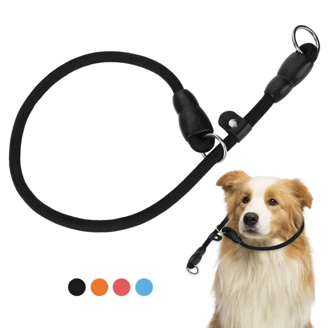 PetAffairs Nylon Choke Rope Pet Leash