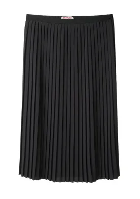 Pleated Skirt