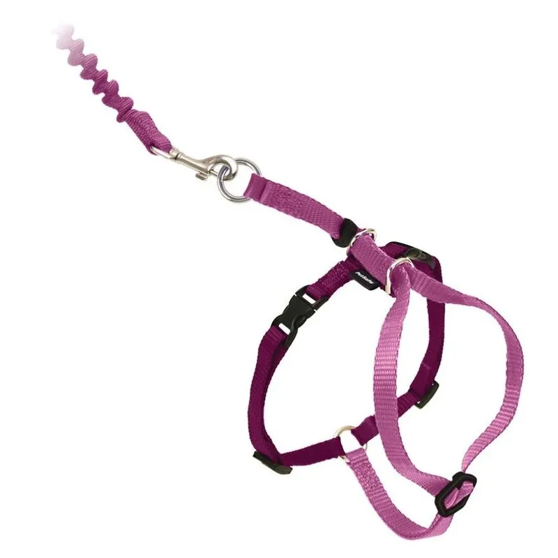 Premier Pet Come With Me Kitty - Harness & Bungee Leash Set - 4 Colors