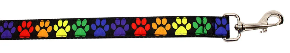 Rainbow Paws Nylon Pet Leash 1in By 6ft