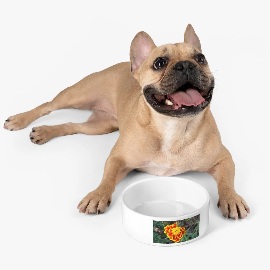 Red and Yellow Flower Pet Bowl