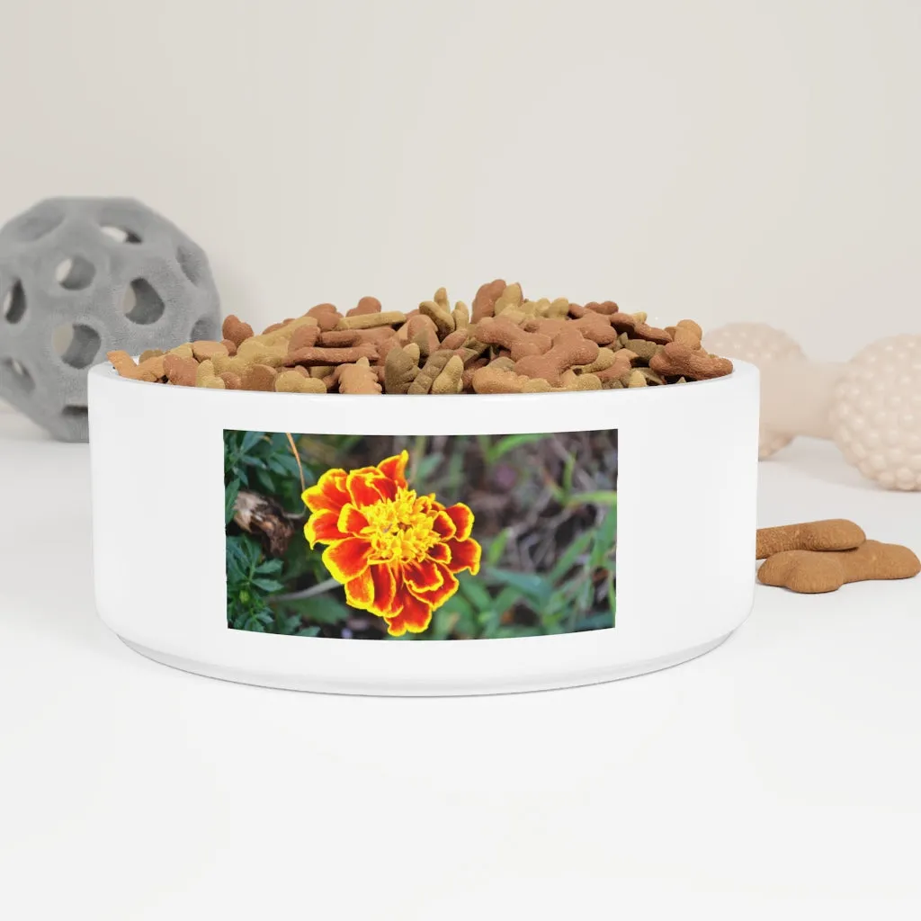 Red and Yellow Flower Pet Bowl