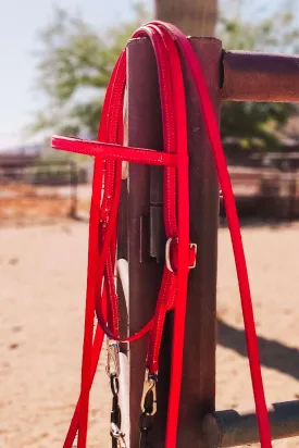 Red Leather Quick Change Working Headstall