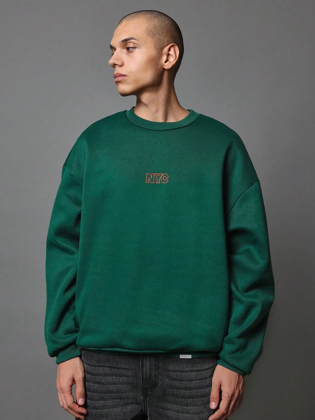 Regular Fit Crew Neck Sweatshirt With Embroidery & Graphic Print