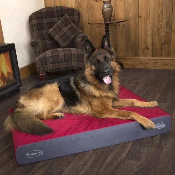 Scruffs ArmourDillo Orthopedic Dog Bed