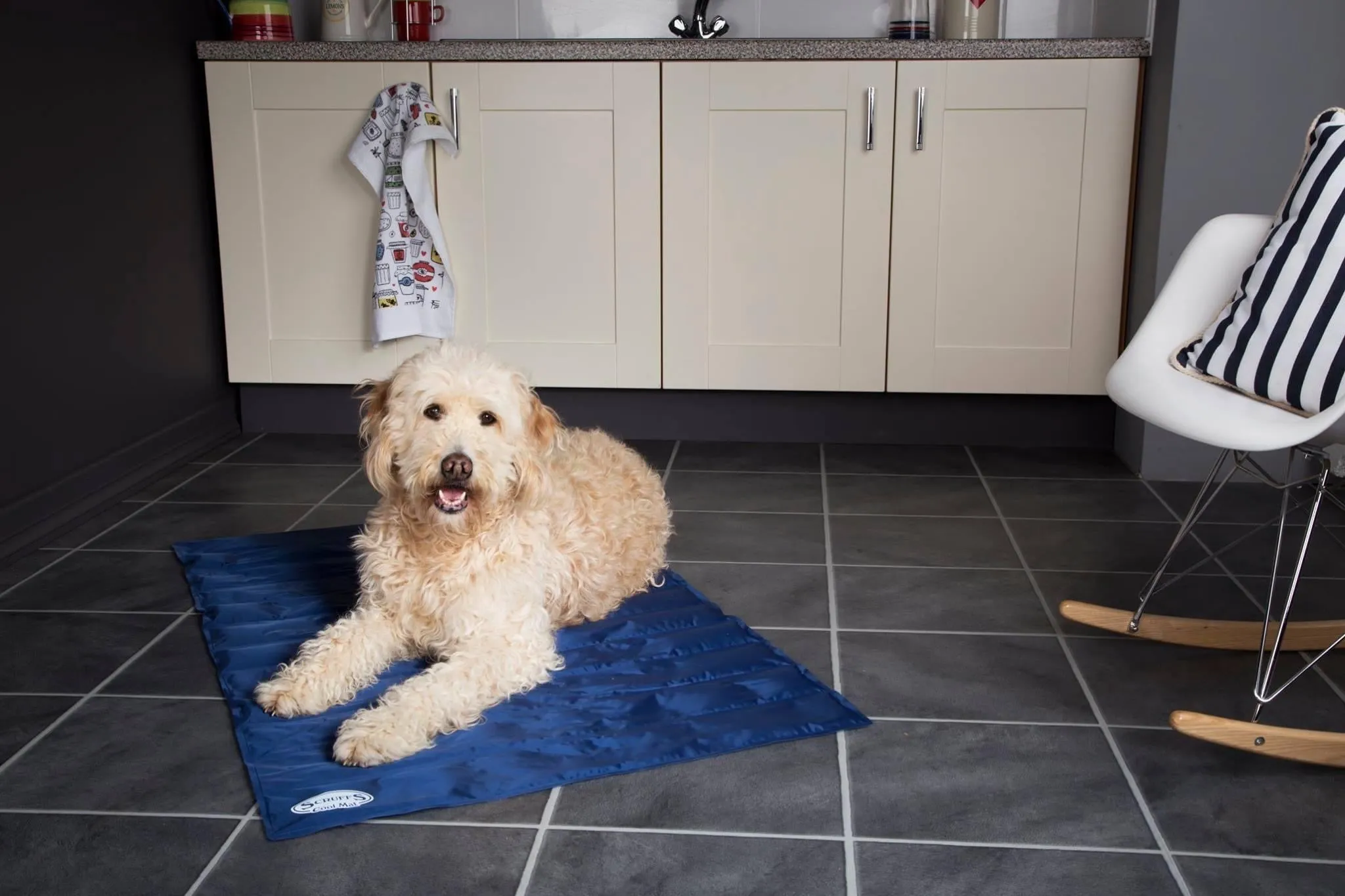 Scruffs Cooling Mat