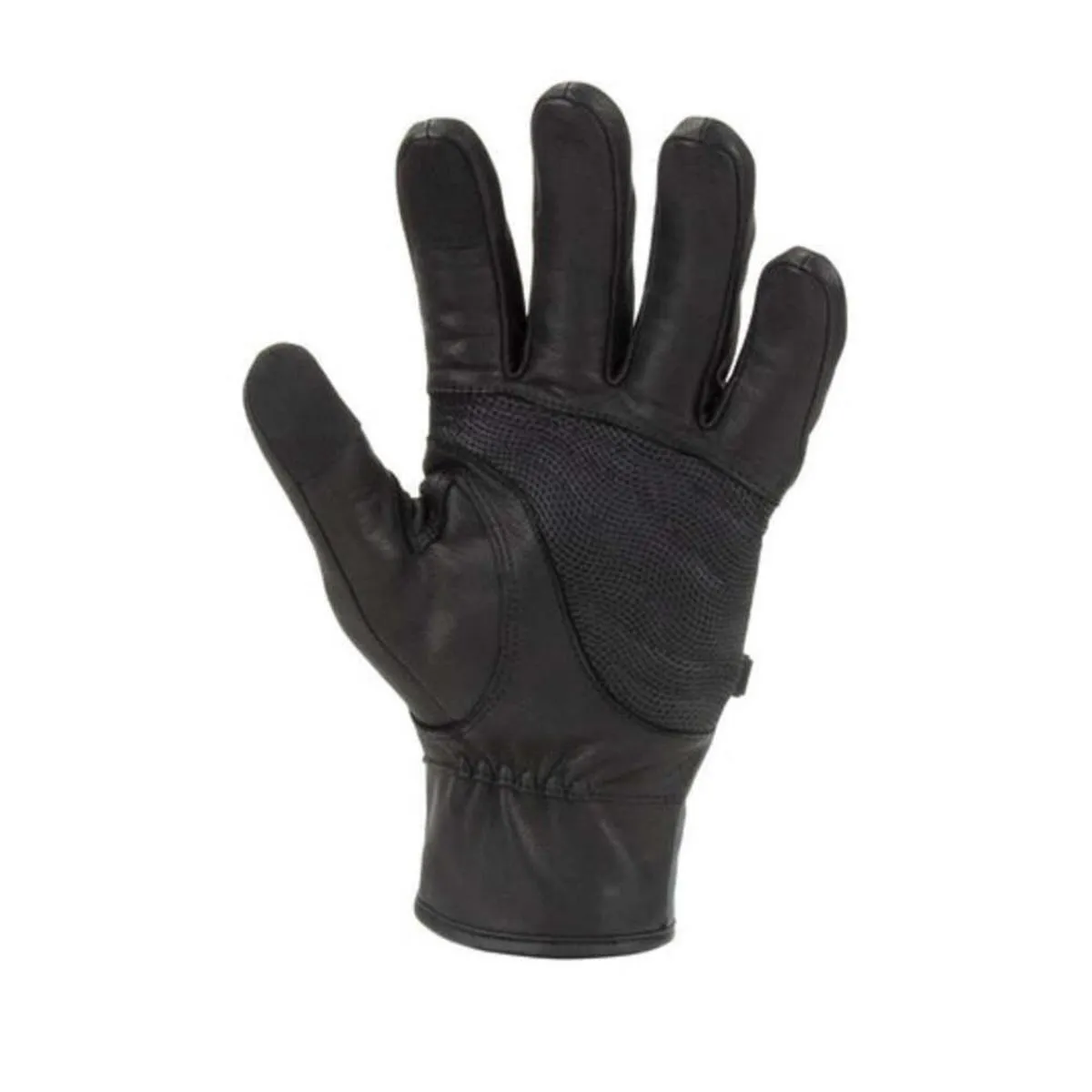 SealSkinz Walcott Waterproof Cold Weather Gloves with Fusion Control (Size L)