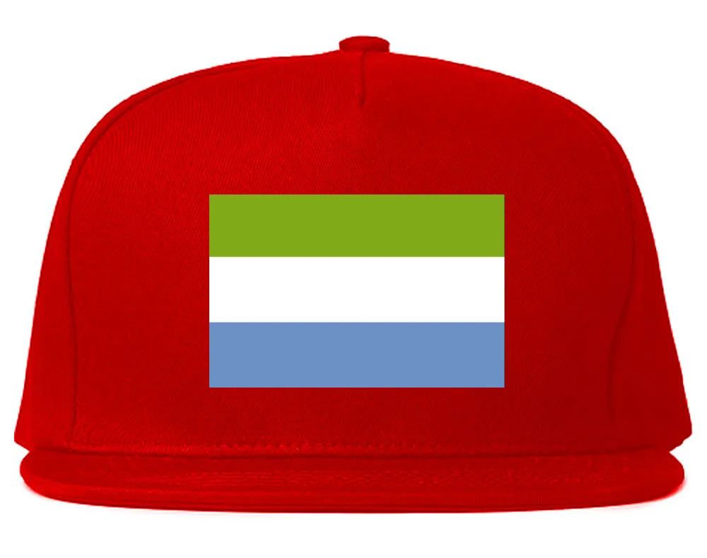 Sierra Leone Flag Country Printed Snapback Hat Cap