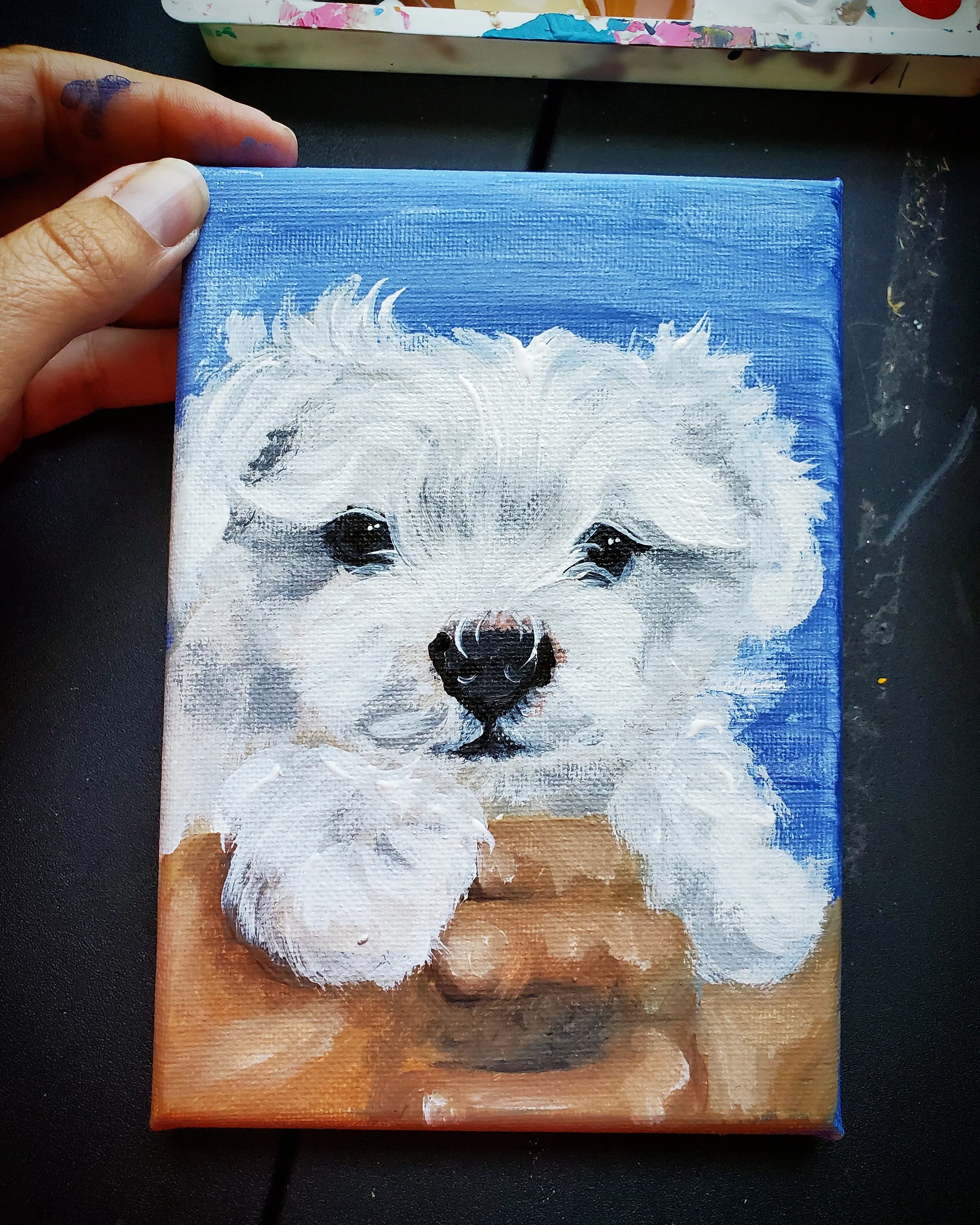 Smaller Pet Portrait 8x10