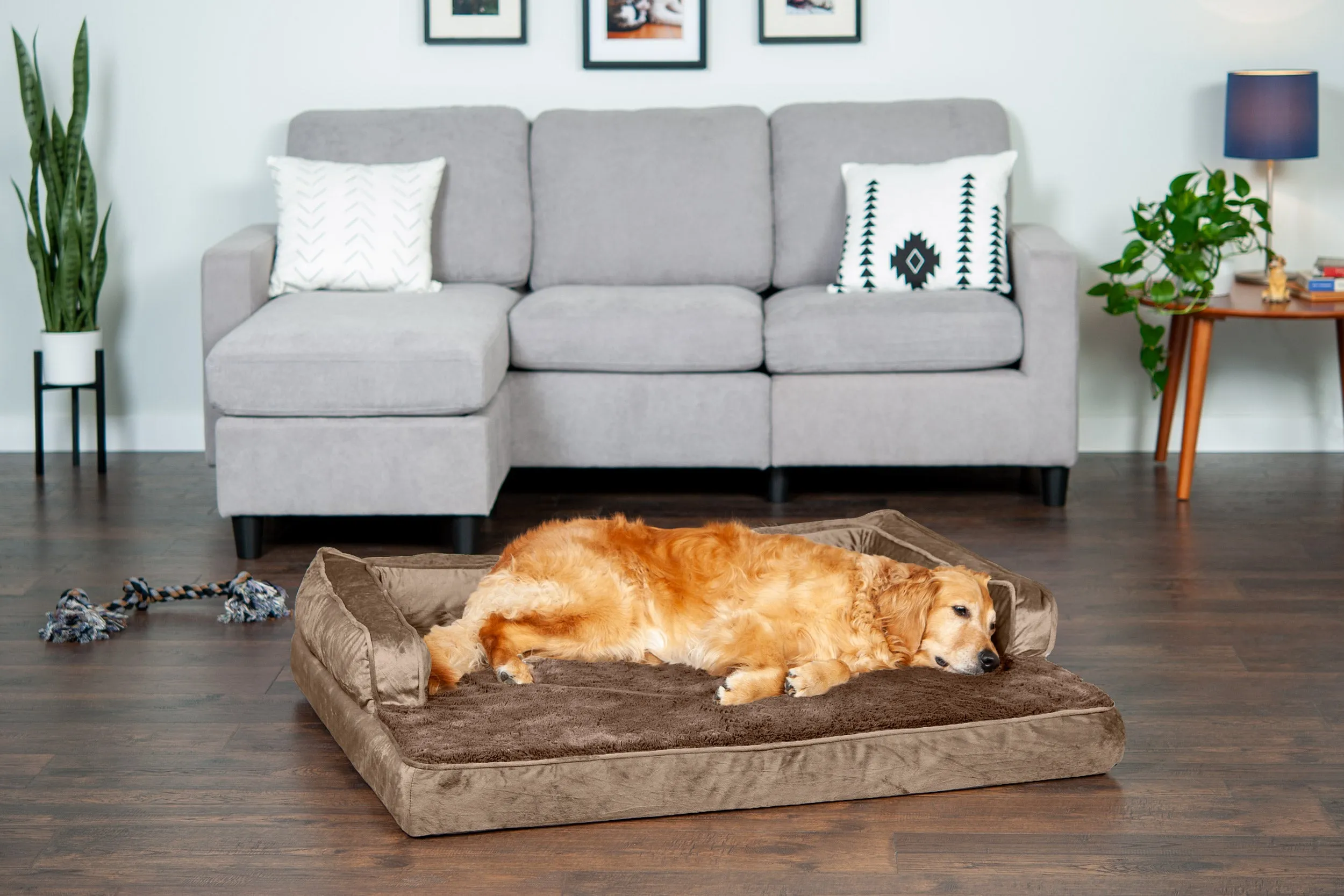 Sofa Dog Bed - Plush & Velvet Comfy Couch