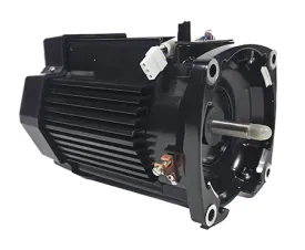 Sta-Rite Motor 353135S