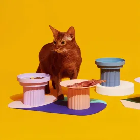 Stylish Pet Bowl Set