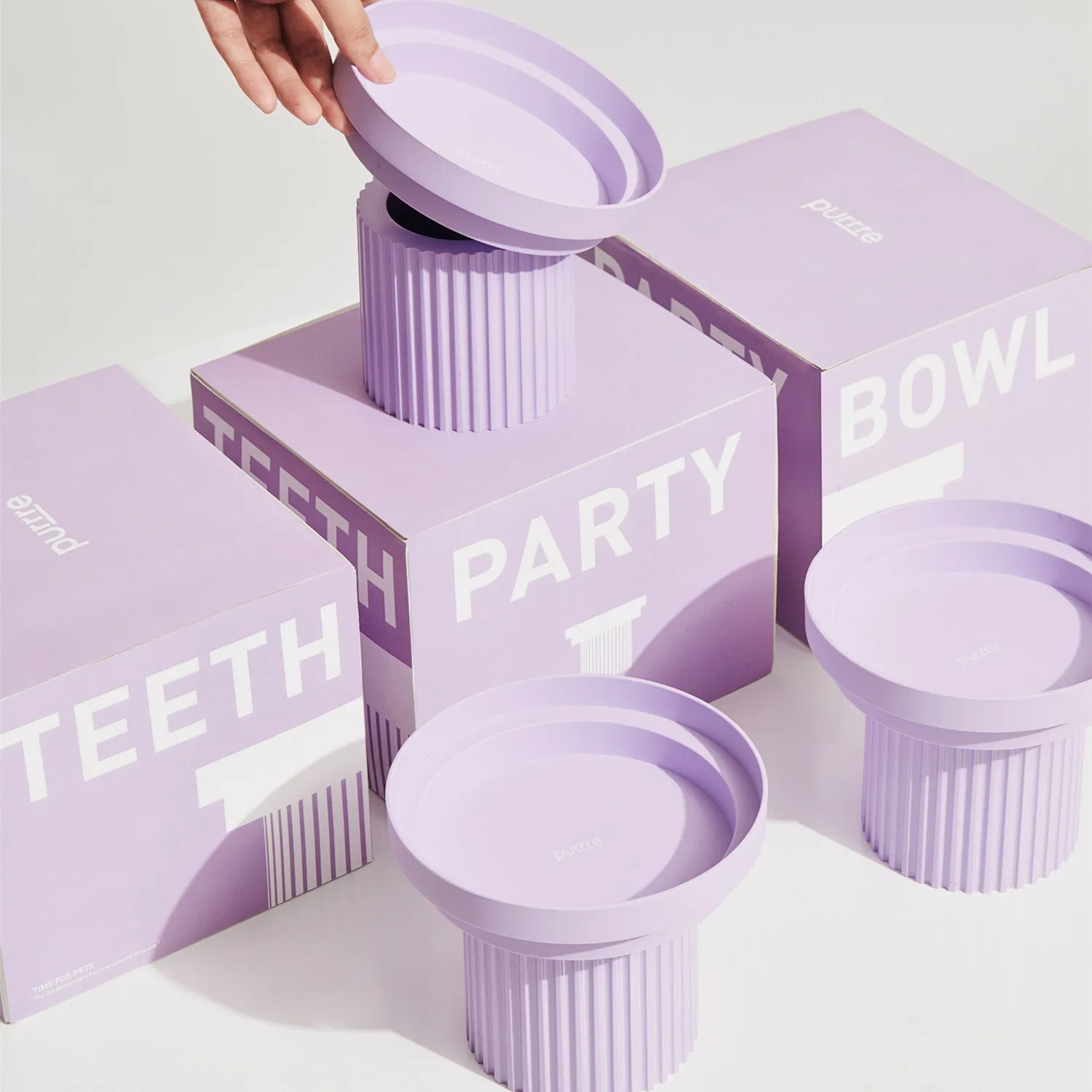 Stylish Pet Bowl Set