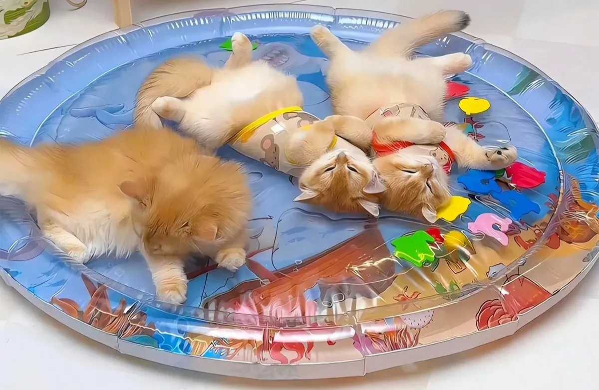 Summer Cooling Pet Water Bed ™- Ice Pad Sleeping Mat