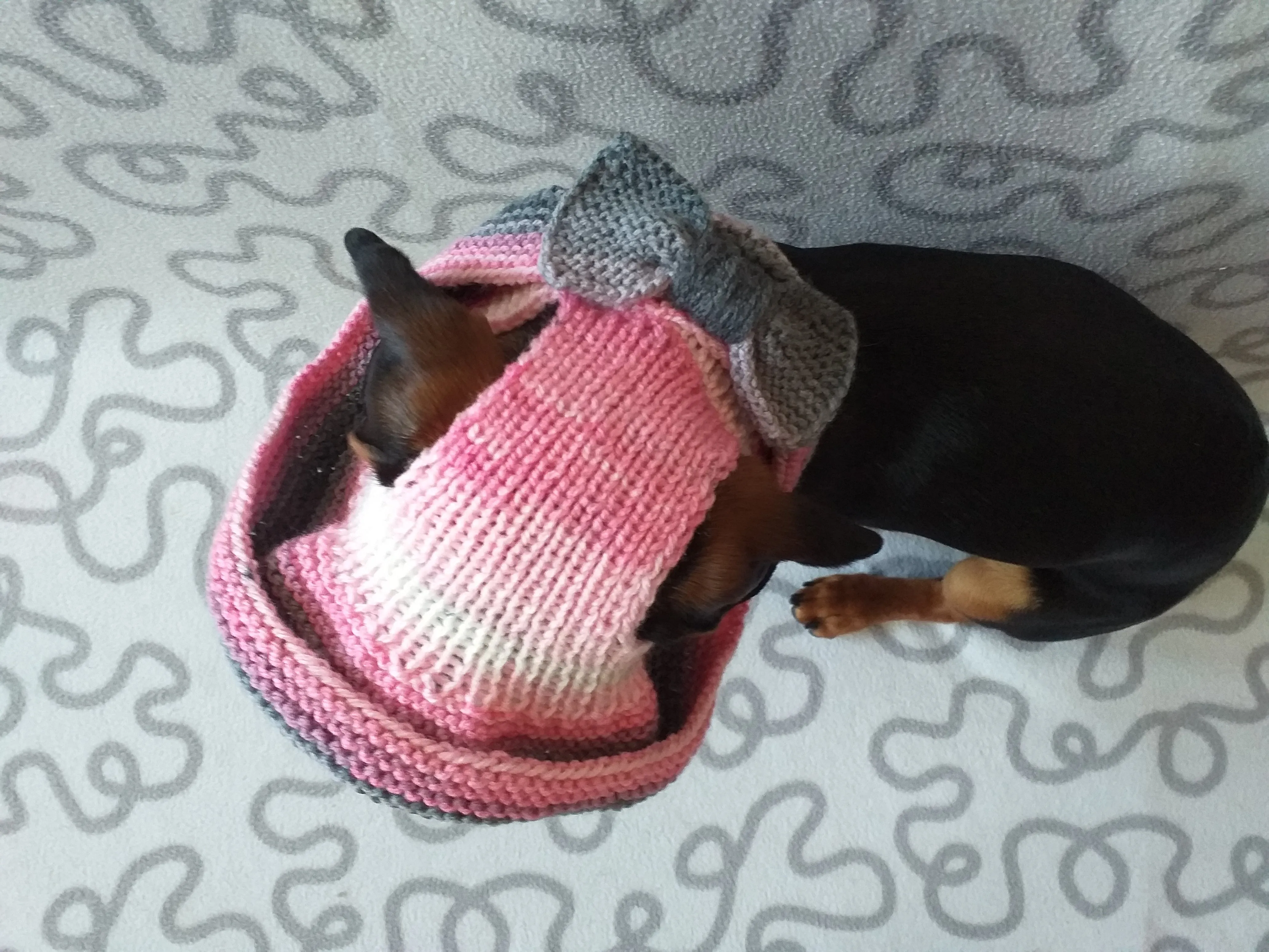 Summer knitted hat for dogs, panama for dogs, hat for dogs, hat for dachshund, accessories for dogs, gift for dogs, dog clothes,hat the sun