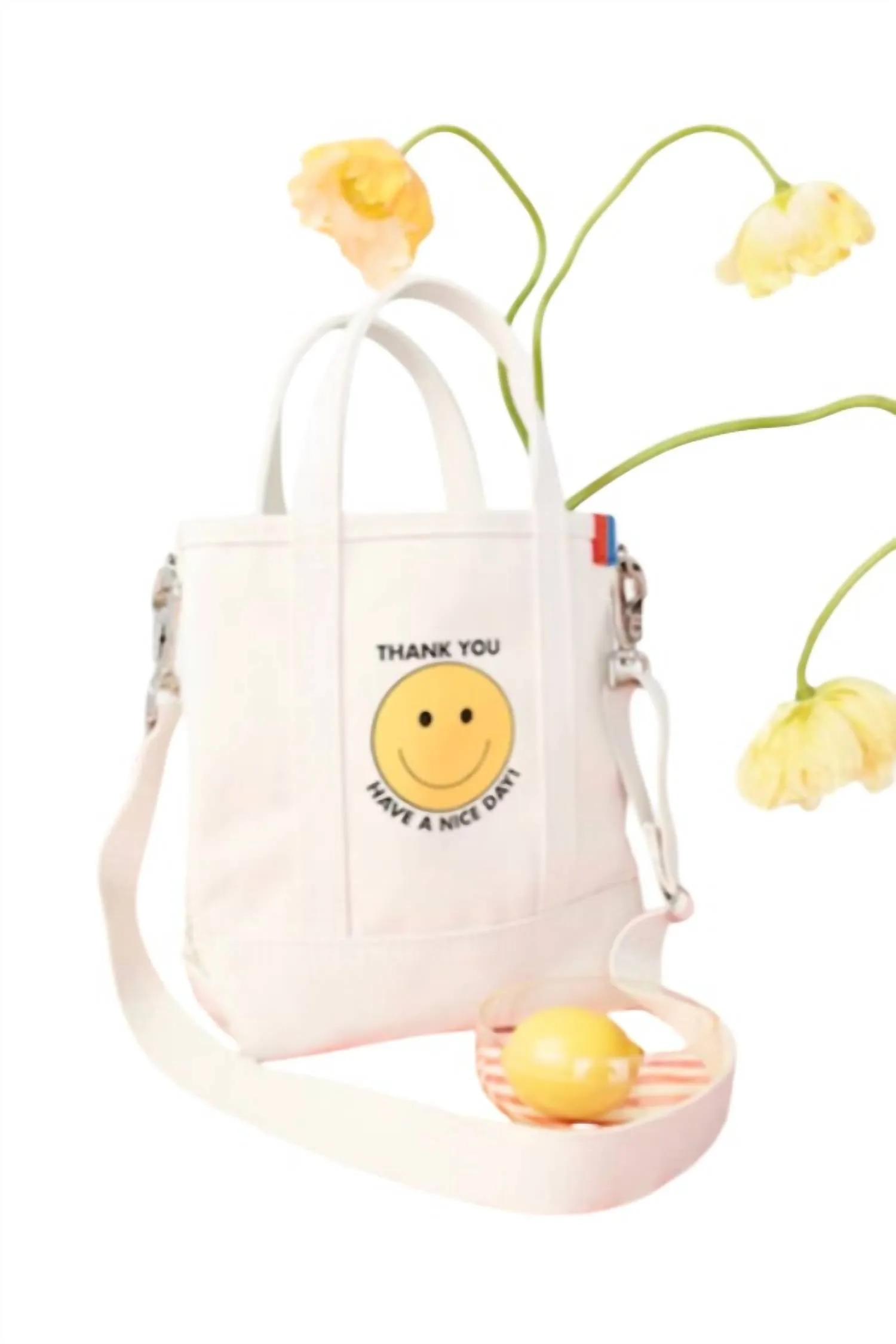 Take Out Bucket Bag