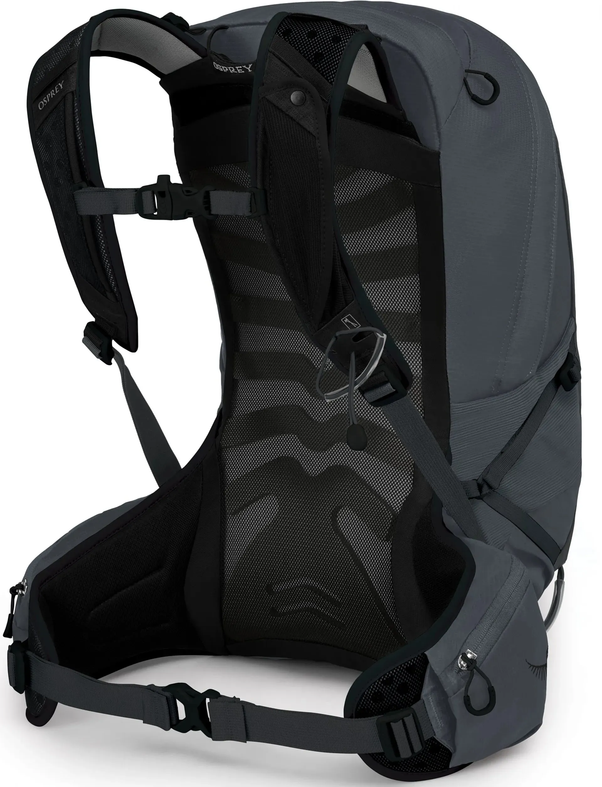 Talon 22L Men's Rucksack