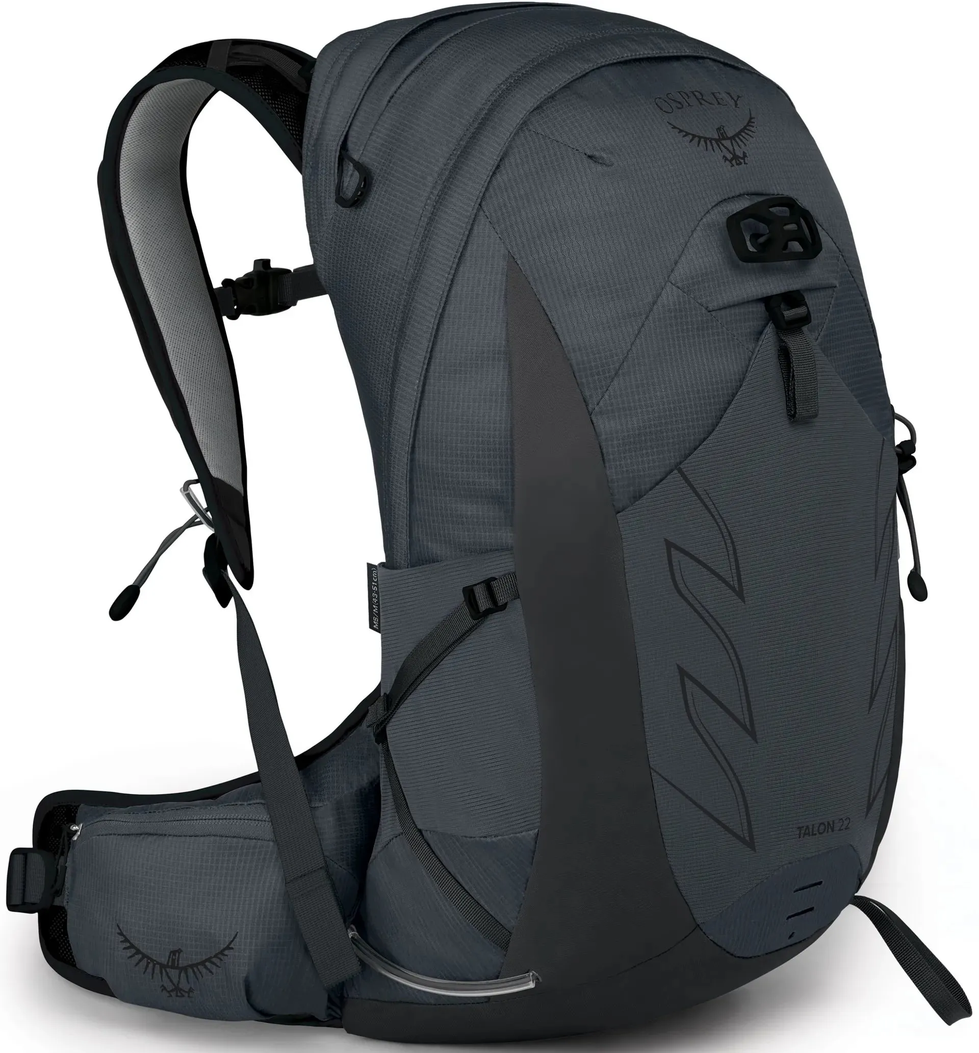 Talon 22L Men's Rucksack