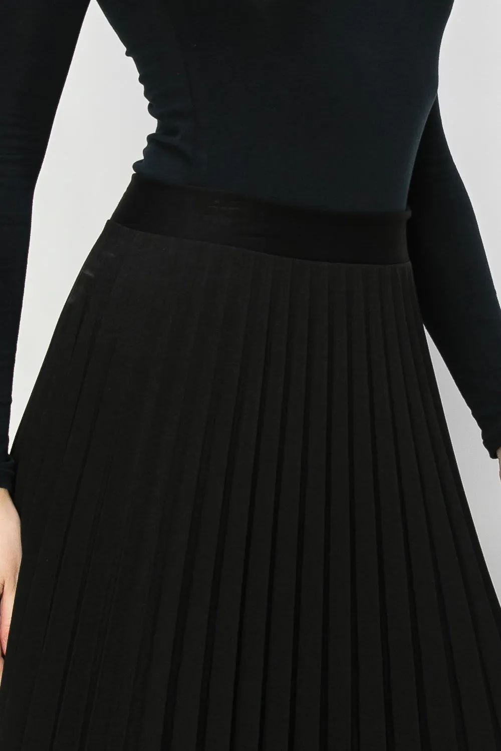 The Perfect Stick Pleated Skirt