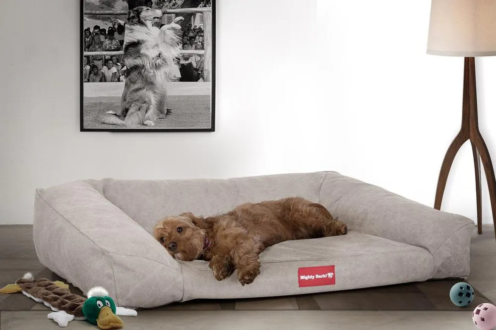 The Sofa Orthopedic Memory Foam Sofa Dog Bed - Canvas Pewter