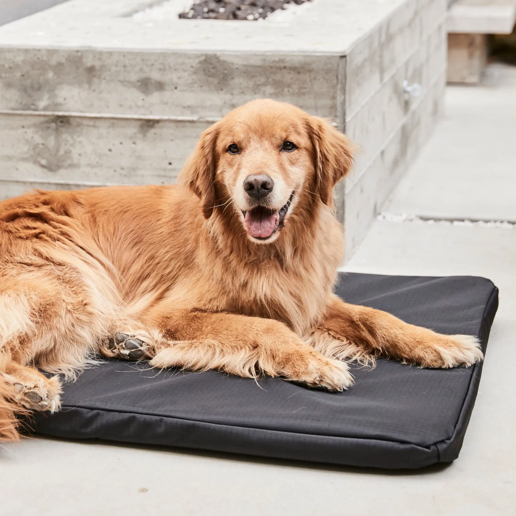 Tough Ripstop™ Orthopedic Dog Crate Bed Cover