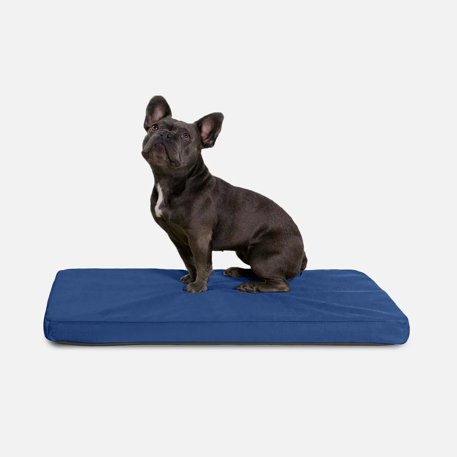 Tough Ripstop™ Orthopedic Dog Crate Bed