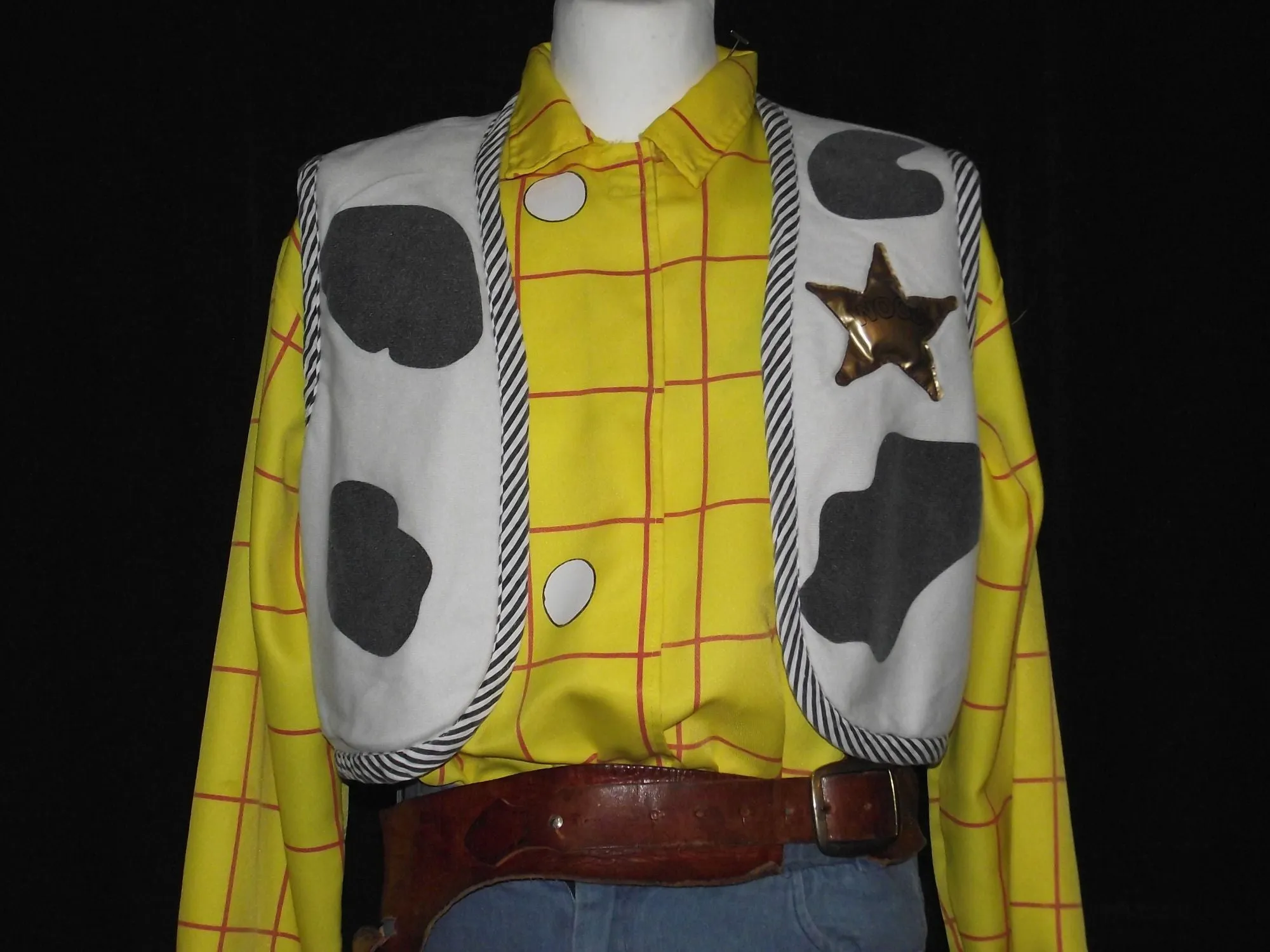 Toy Story Woody (HIRE ONLY)