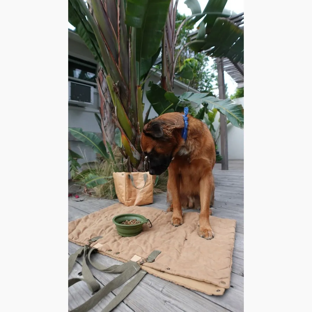 Travel Collapsible Pet Bowl with Clip