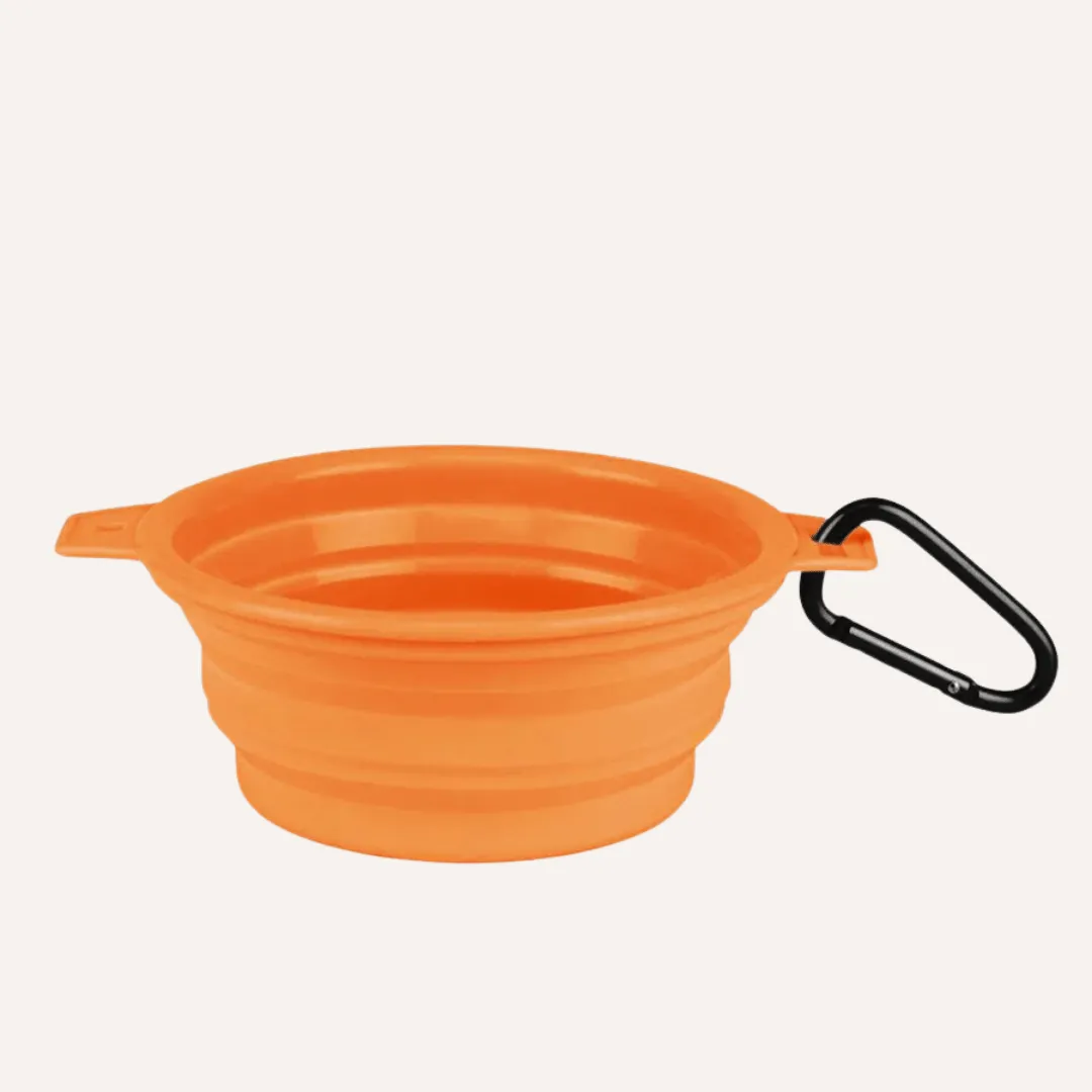 Travel Collapsible Pet Bowl with Clip