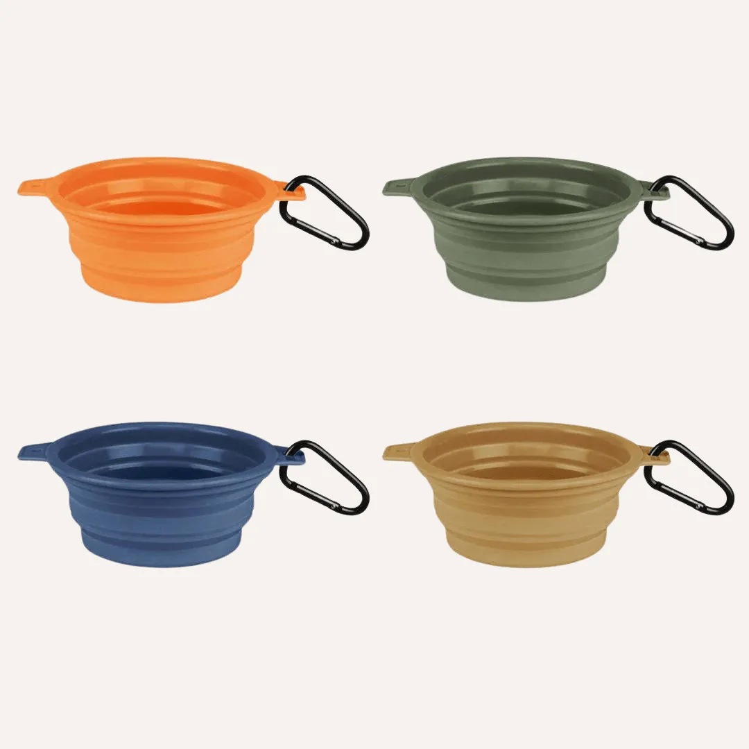 Travel Collapsible Pet Bowl with Clip