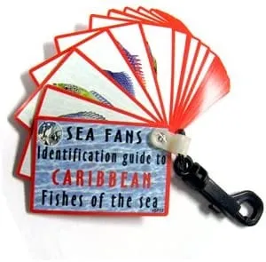 Trident Fish Identification Fans