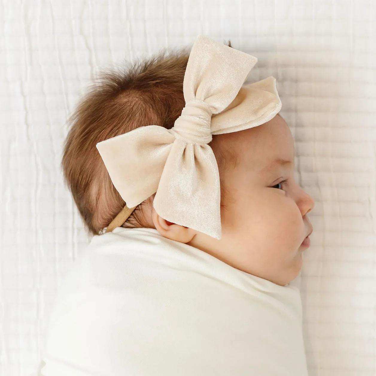 Velvet - Latte Bow Headband