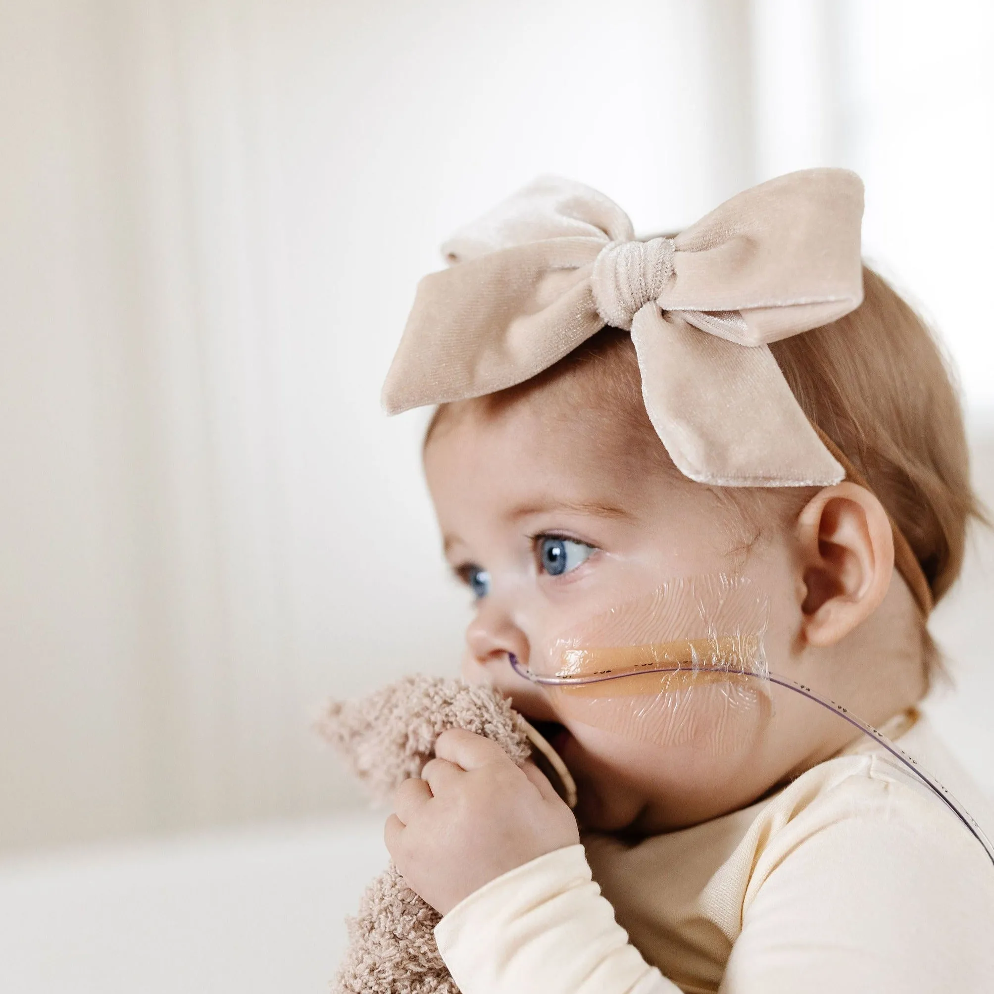 Velvet - Latte Bow Headband